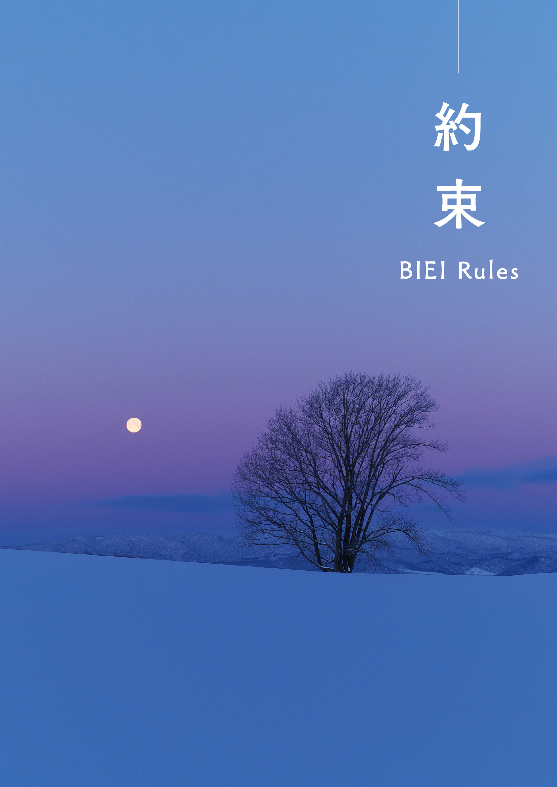 約束 BIEI Rules 書籍